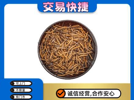 张掖山丹县高价回收散虫草